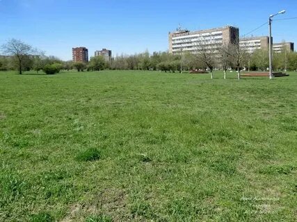 Поляна ростов