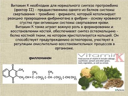 Роль витамина к в свертывании