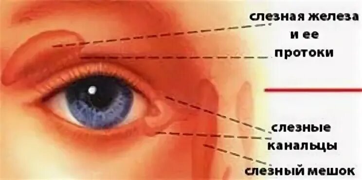 Слезный канал форум. Воспаление носослезного канала у грудничка. Воспаление слезного мешка (дакриоцистит). Воспаление слезных протоков.