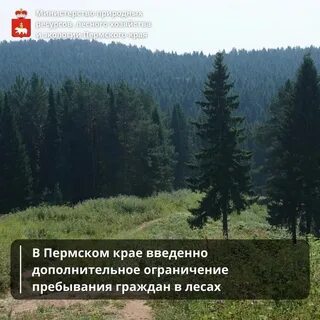 Погода в пермском крае на сентябрь 2024