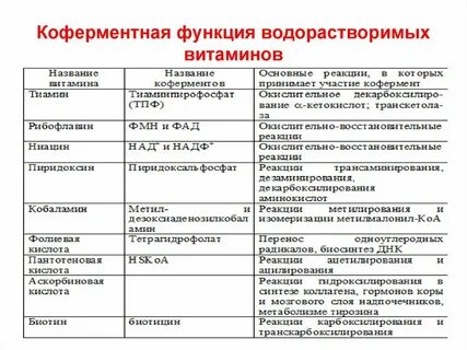 Функции водорастворимых витаминов