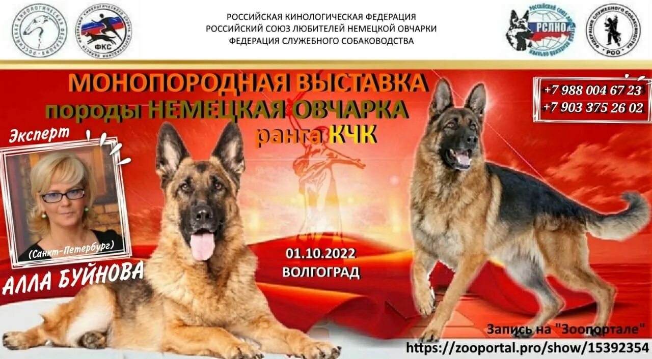 Монопородная выставка немецких овчарок 2025 барнаул. Монопородная выставка немецких овчарок. монопородная выставка немецких овчарок 2025. 30.10.2025 монопородная выставка немецких овчарок в воронеже. главная выставка немецкой овчарки 2025.