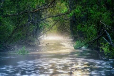 Тайная река