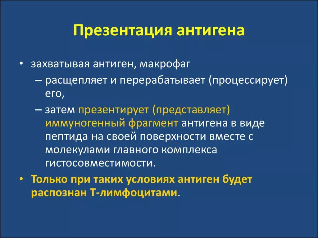 Основные группы антигенов. Презентация антигена. Антигенная презентация. Процесс презентации антигена. Презентация антигена этапы.