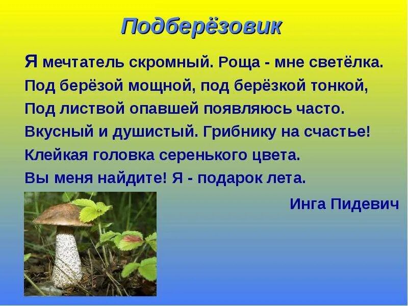 Почему подберезовик. Подберезовик. подберезовик краткое описание. презентация на тему подберезовик. доклад о подберезовике.