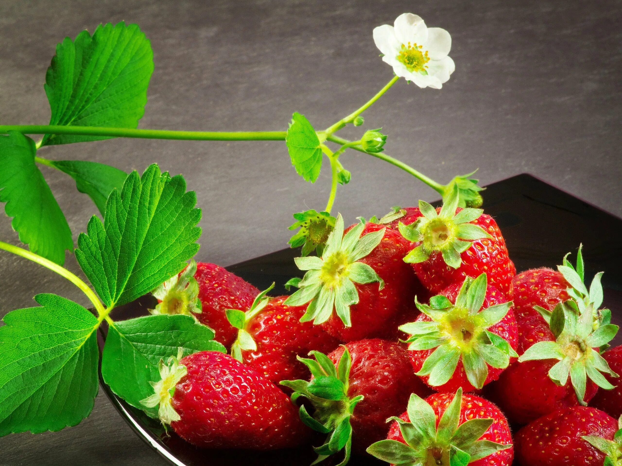 Strawberry flowers