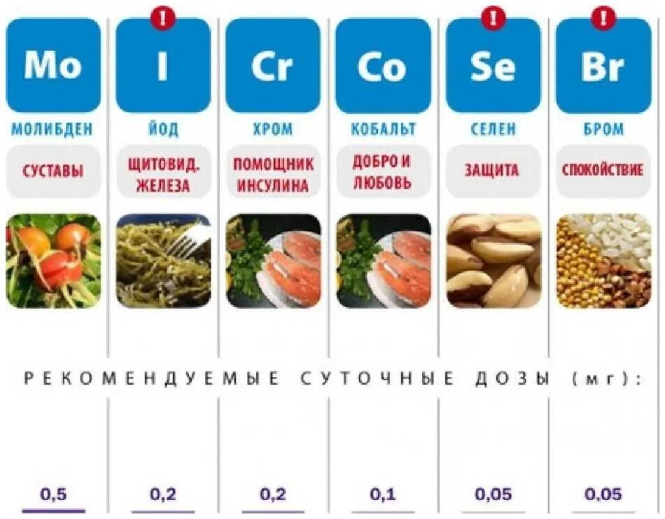 Микроэлементы для нервной системы. Микроэлементы и макроэлементы в организме человека таблица. таблица макроэлементов в продуктах питания. витамины макроэлементы микроэлементы. таблица минеральные вещества макроэлементы микроэлементы.