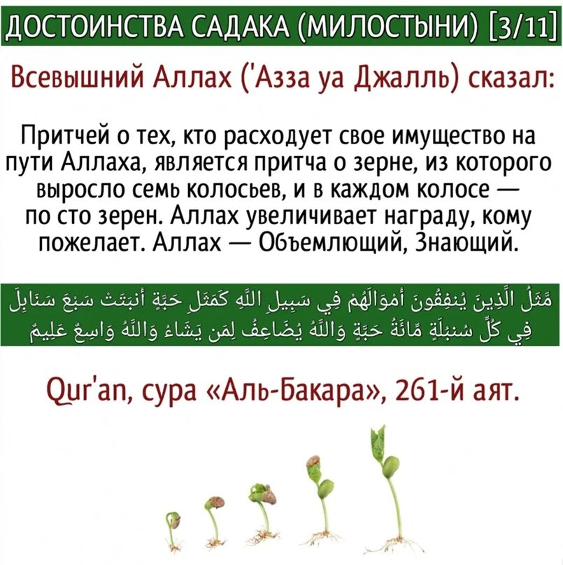 Сколько нужно давать садака. Преимущества садака. Садака милостыня. Достоинство садака. Аят про садака.