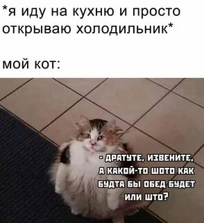 Извините а обед будет