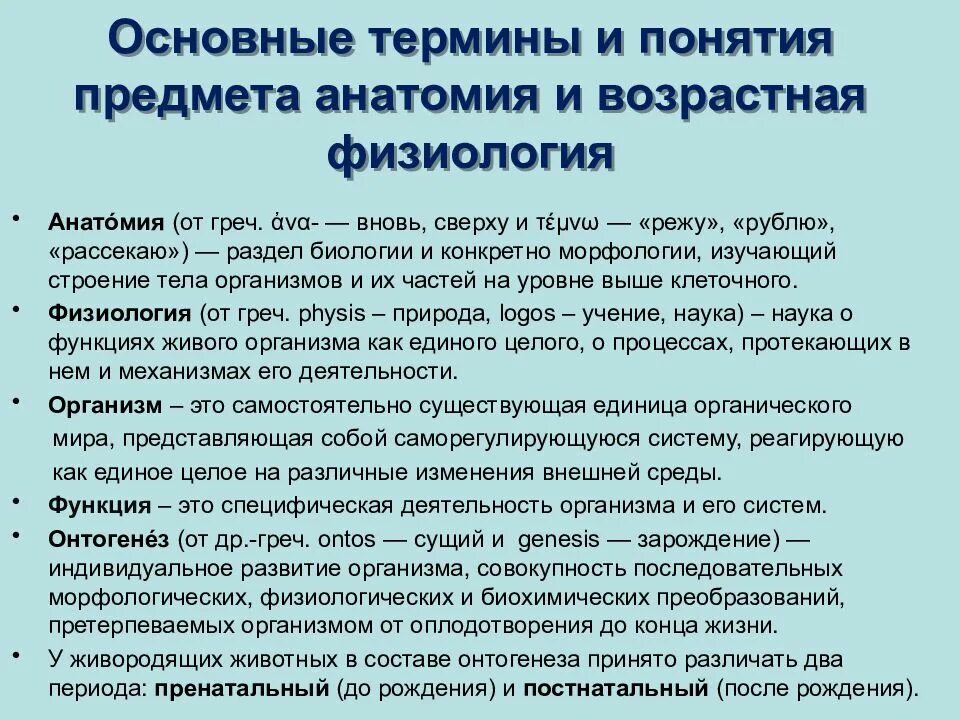 Основные понятия анатомии и физиологии. Основные понятия возрастной анатомии. Распространенные термины анатомия. Возрастная анатомия и физиология. Возрастные изменения изучает