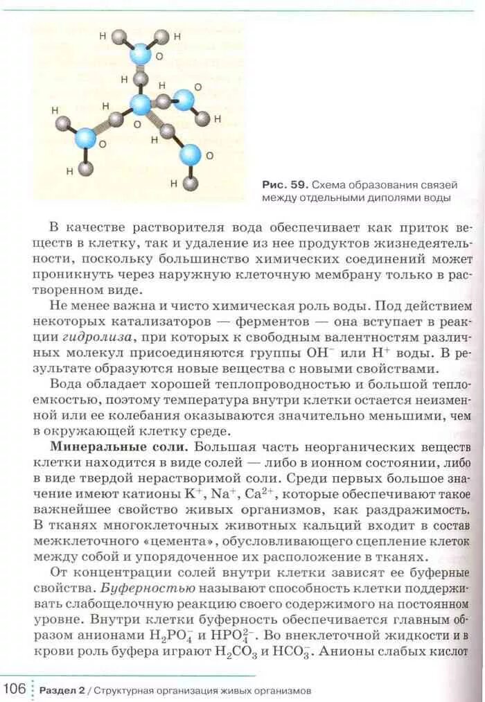 Краткое содержание биологии 9 класса. Биология 9 класс Мамонтов Захаров Сонин. Учебник по биологии 9 класс Мамонтов Захаров Сонин. Учебник по биологии 9 класс Мамонтов Захаров. Учебник по биологии 9 класс Сонин.