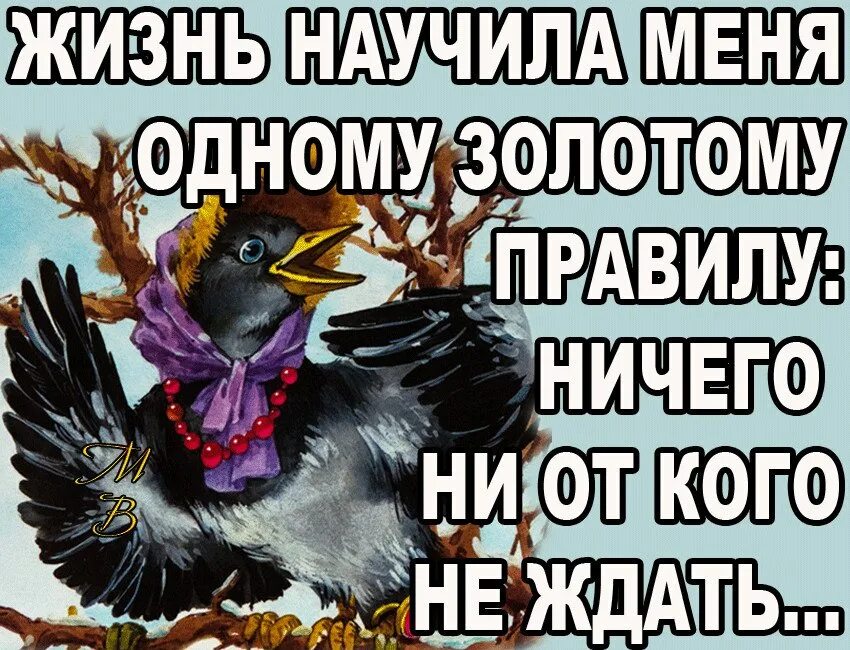 Жизнь научила песня. Ничего не жду от жизни. Жизнь научила меня одному Золотому правилу. Ничего не жди от жизни. Жизнь научила меня одному Золотому правилу ничего ни от кого не ждать.