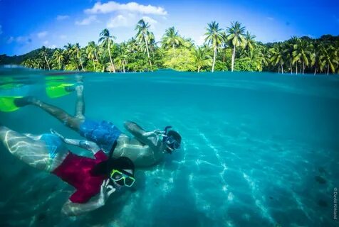 Snorkel Fiji.