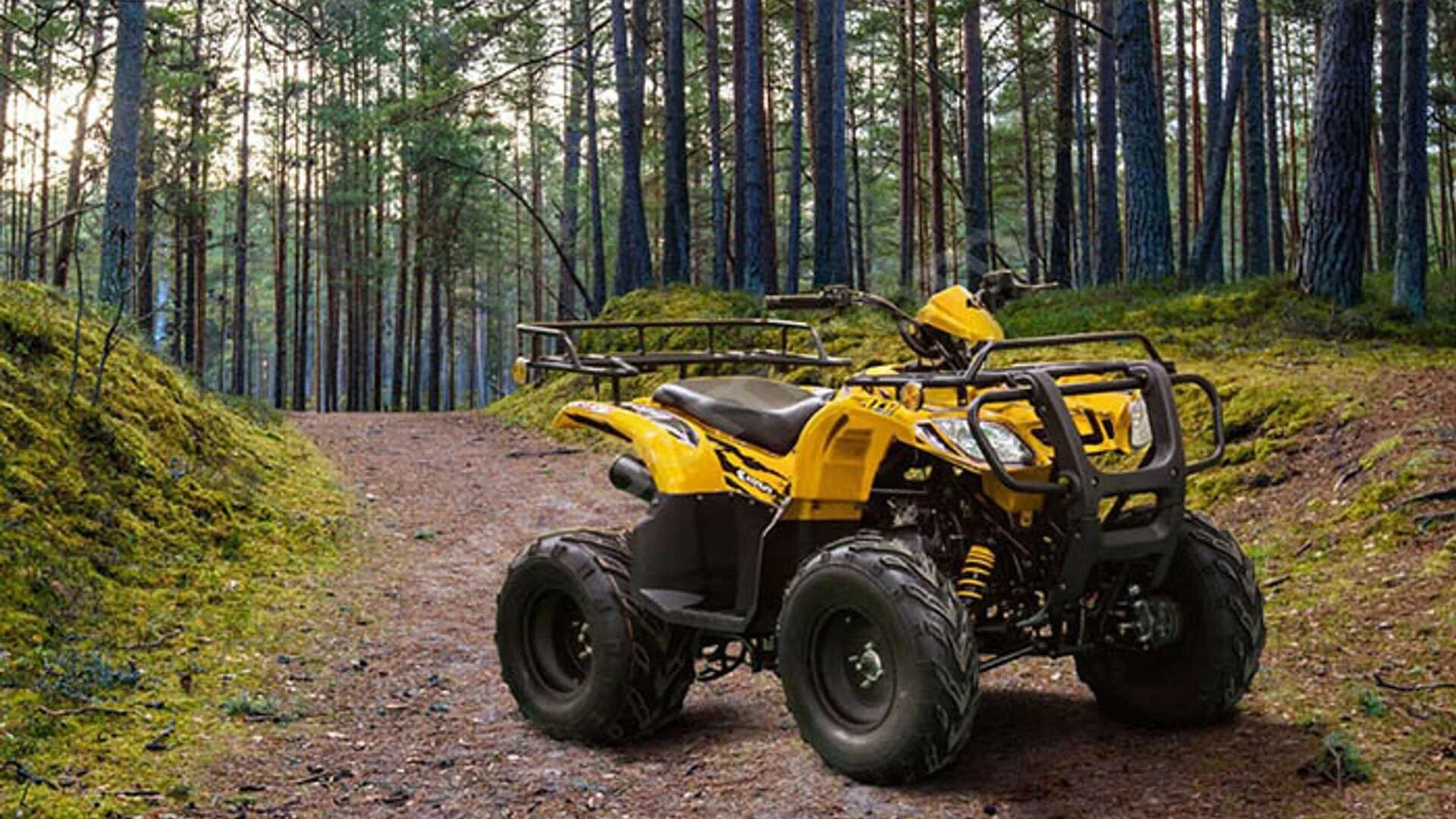 Atv. Клюв АТВ 150. Atv Plus. Бизон 320