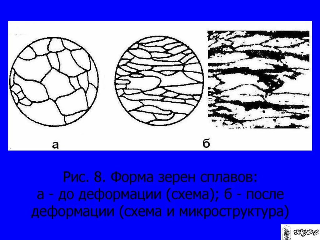 Направление трещины. Схема деформации зерна. Форма зерна. Микроструктура деформированного металла. Материаловедение форма зерен.