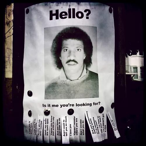 Hello are you looking for. Hello is it me you looking for мем. is it me you&#039;re looking for. hello is it me you&#039;re looking for текст. it&#039;s me фото.