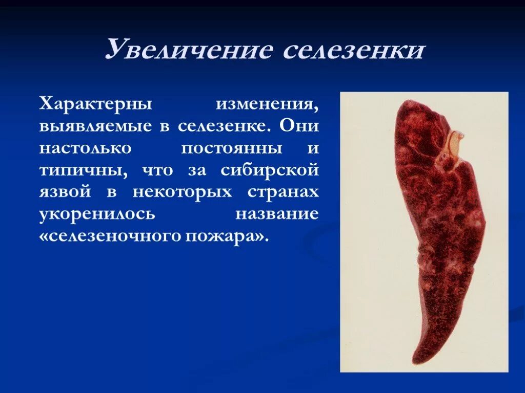 Вплоть характерный