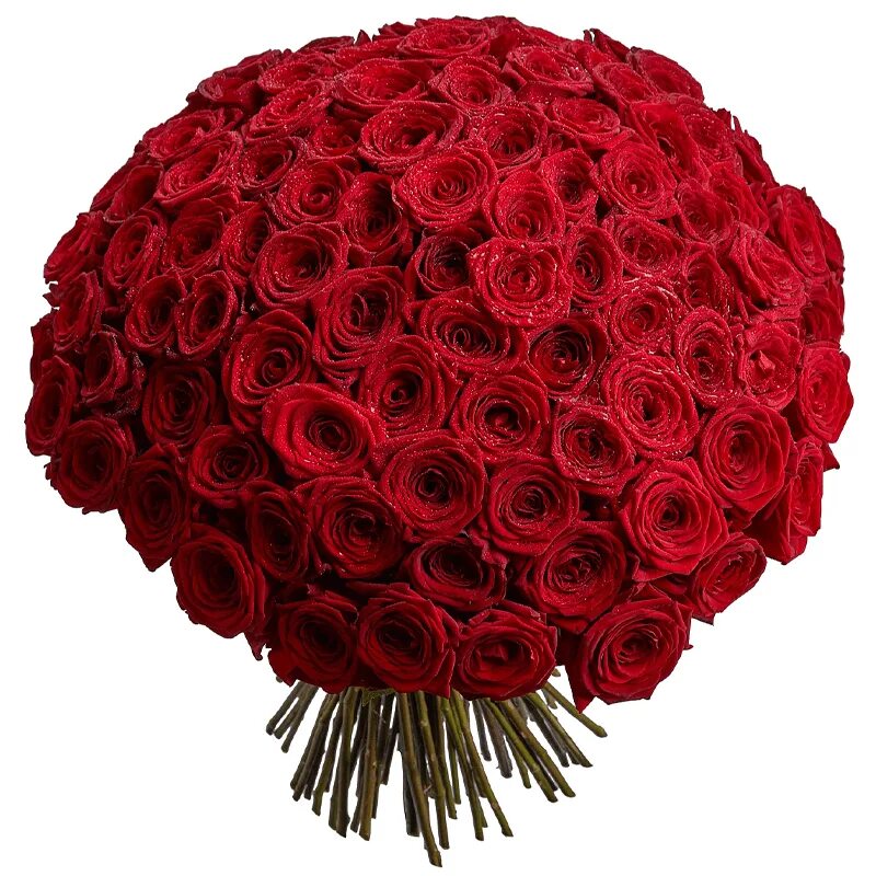 Букет 15 красных роз 50см. 9 роз букет с красной лентой. Букет из красных роз 9 штук. Букет из 1001 розы. 15 роз 50см craft v.