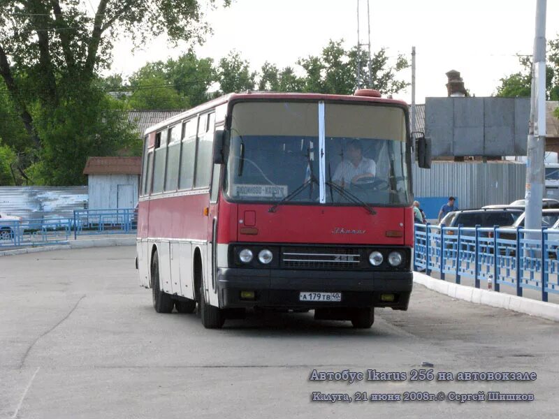 Москва людиново автобус купить. Икарус 256 Калуга. Икарус 256 Далматово. Автобус Икарус 256. Икарус 256 Старая майна.