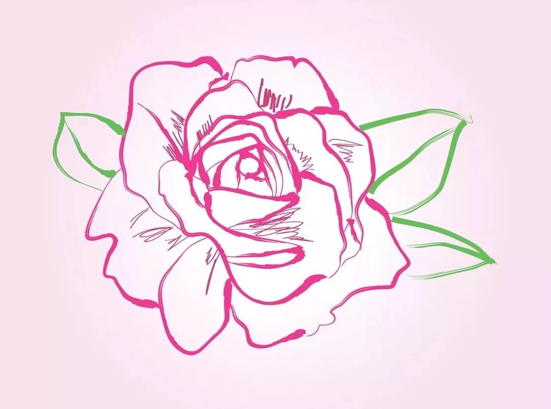 Цветы рисунок. Рисунок розы для срисовки. Нарисовать розовый цветок