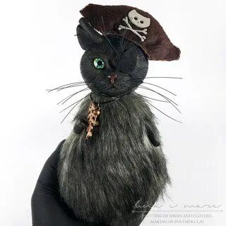 Черный кот пират