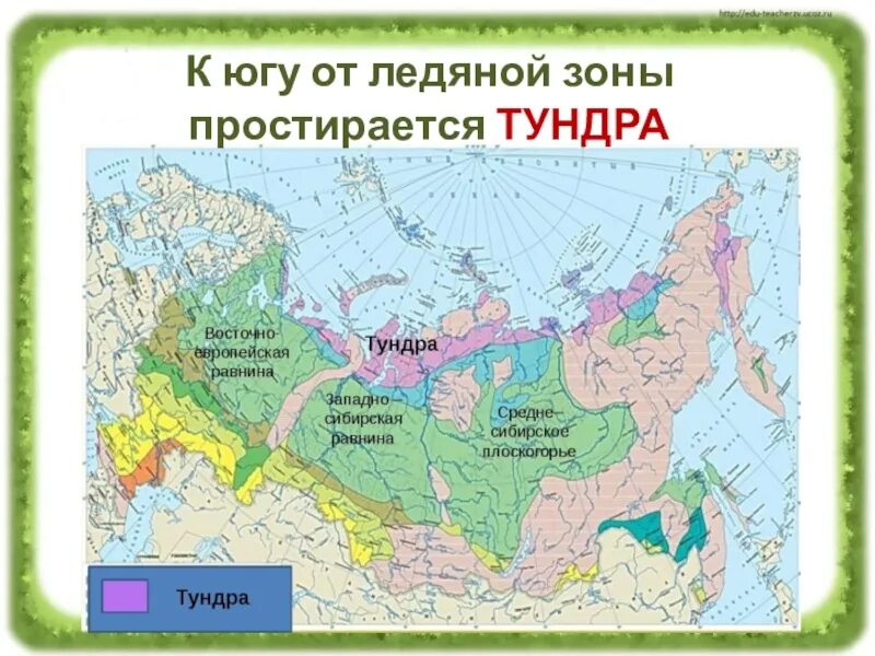 В каком направлении простирается тундра. Карта природные зоны обозначить границу России. Зона тундры 4 класс окружающий мир на карте. Природные зоны тундры 4 класс окружающий мир на карте. Зона тундры и лесотундры на карте России.