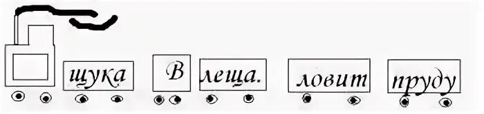 Как пишется слово щука