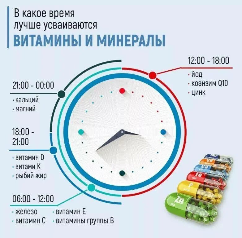 Время приема витаминов. Схема приема витаминов и минералов. Как правильно пить витамины и минералы. Когда лучше принимать витамины. С какого возраста можно принимать витамин с