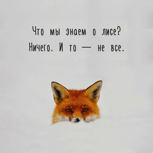 Немного мочь