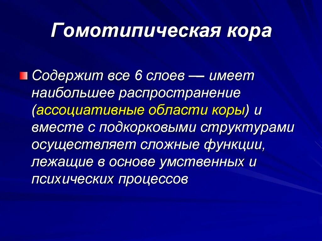 В основе любой функции лежит. В основе любой функции лежит
