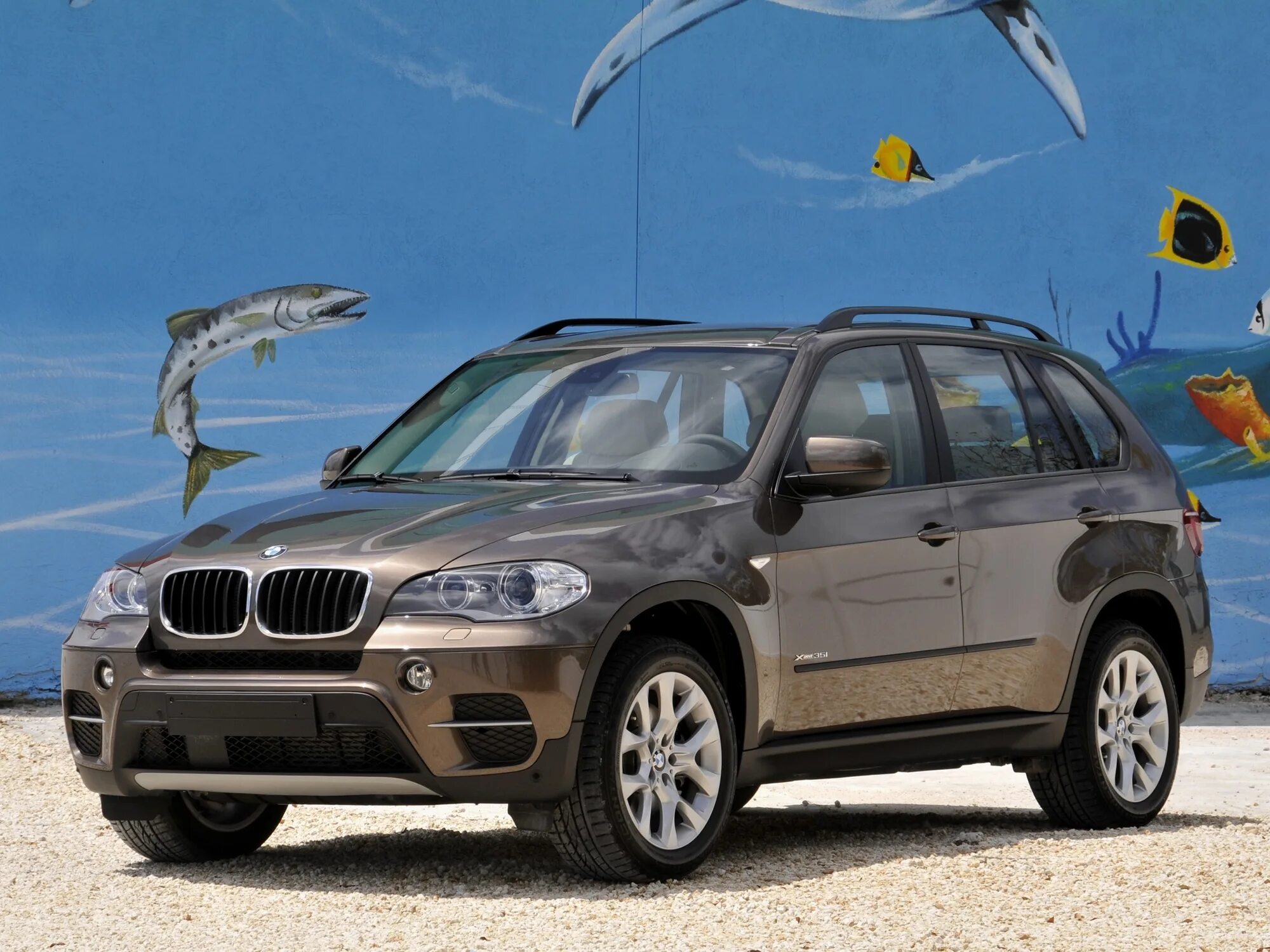 X 5 e x