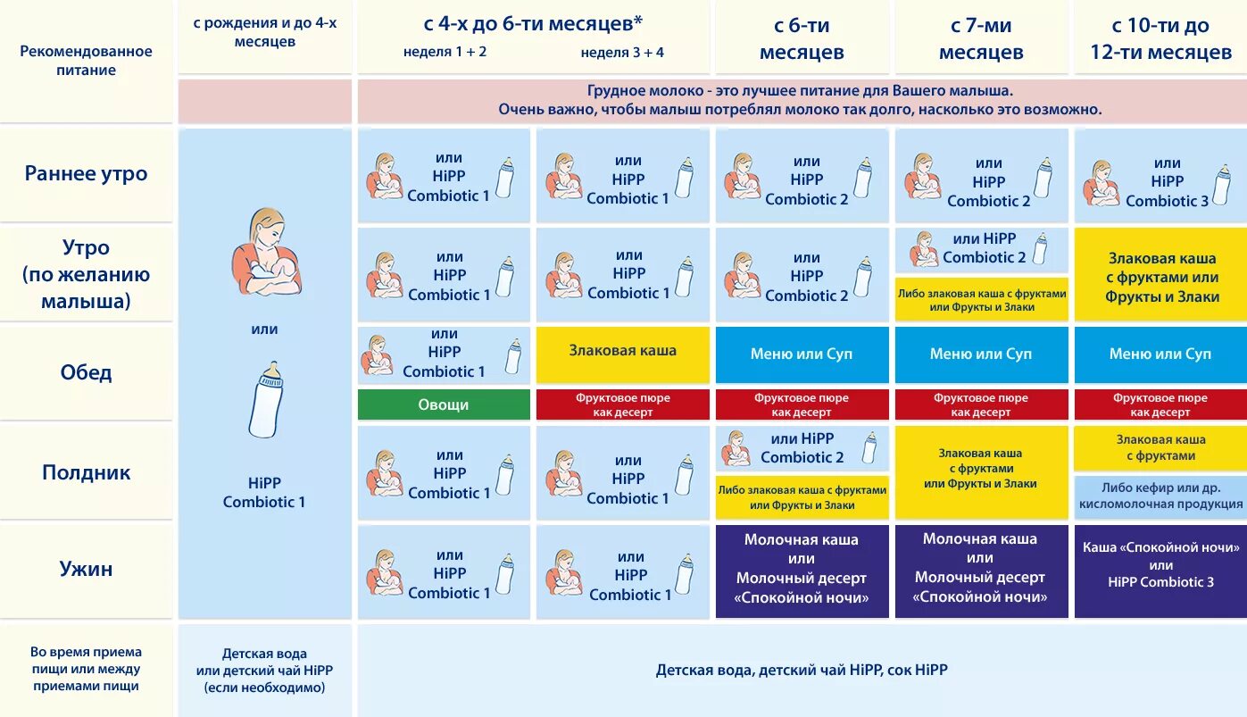 До скольки нужно родить. Рацион питания ребенка от 6 месяцев до 1 года. Таблица кормления детей 6 месяцев прикорм. Прикорм в 4 месяца режим кормления прикорм. Питания 4 месячного малыша прикорм.
