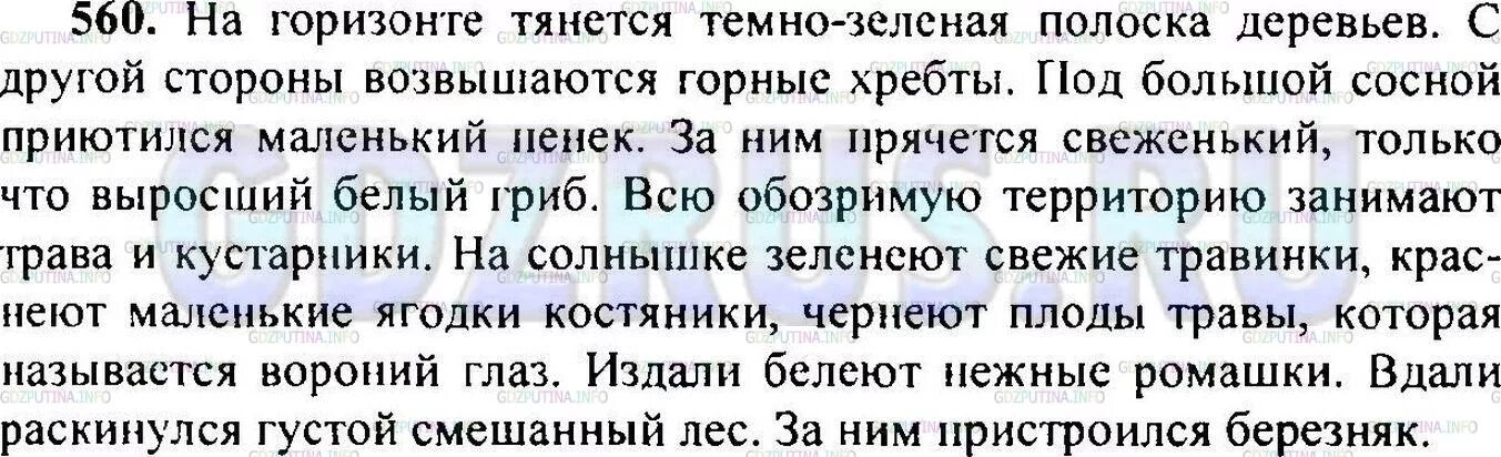 Русский язык 6 класс учебник номер 575. Упражнения 575 по русскому языку. Русский язык 6 класс упражнение 575. Текст упражнения 575 по русскому языку. Русский язык 5 класс 2 часть номер 575.