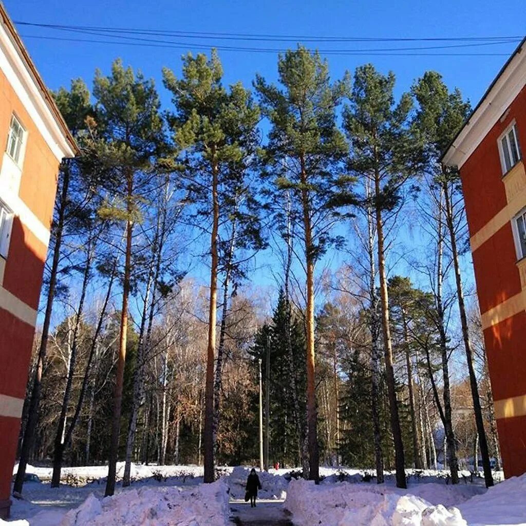 сибирь академгородок. свежие вакансии академгородок новосибирск. романов в академгородке новосибирск. николай академгородок новосибирск. новосибирск городок академ.