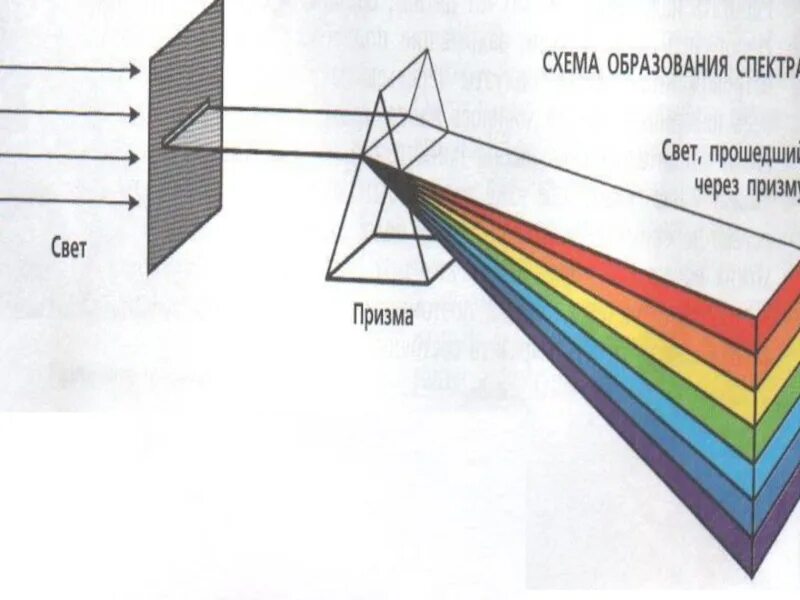Через что может пройти свет. Схема образования спектра. Свет через призму. Сплошной спектр через призму. Призма спектр.