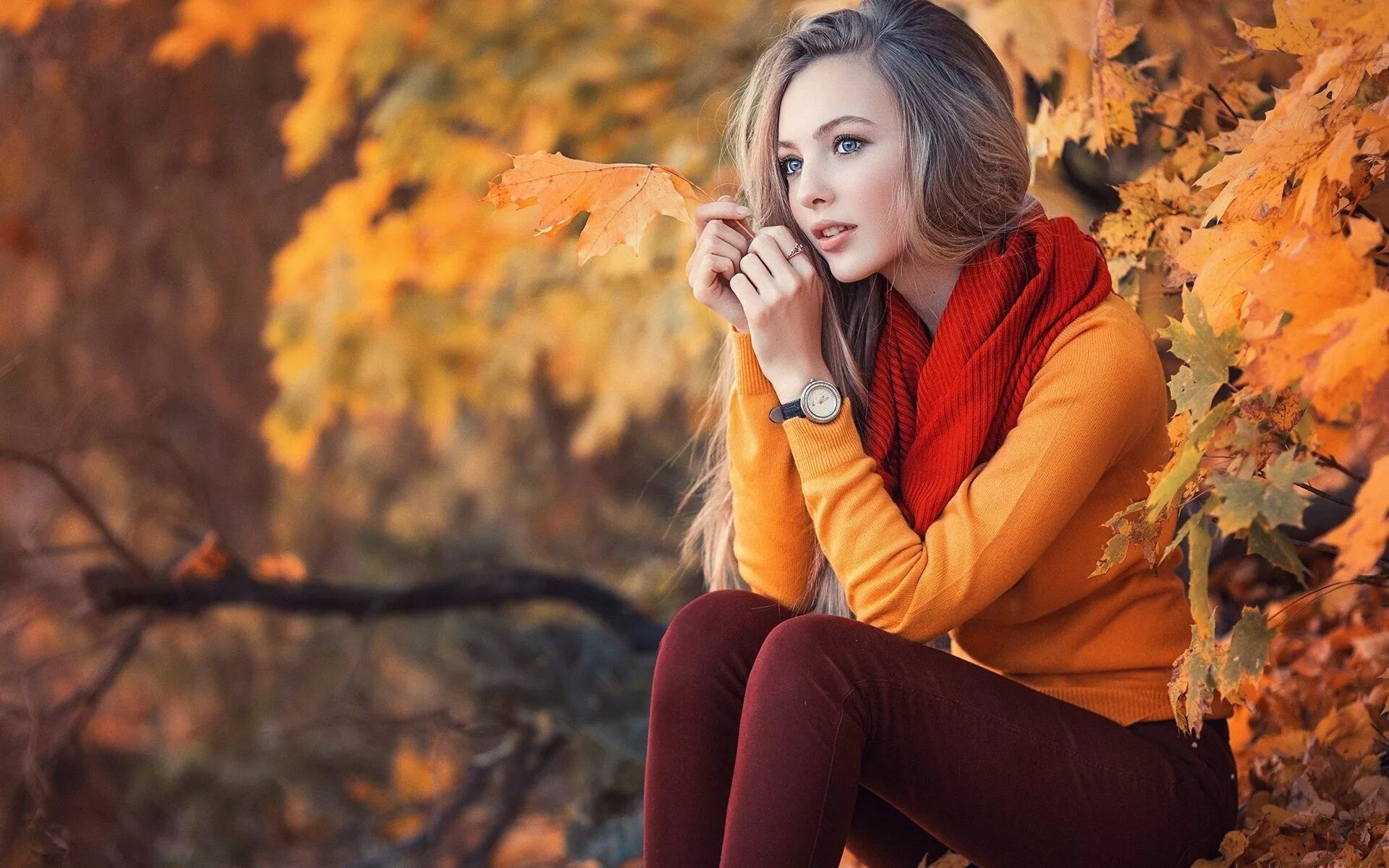 Красивые девушки в парке. Девушка осень. Осенняя фотосессия. Девушка осенью. Осенняя девушка.