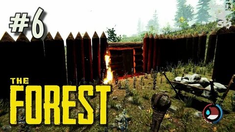 Forest 1 6