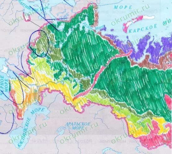 Карта зон России 4. Карта природных зон России 4 класс окружающий мир. Контур карты природных зон России. Природные зоны России контурная карта. Карта россии 2 класс плешаков