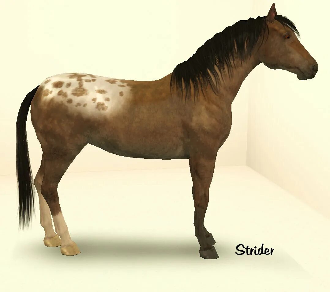 Симс 3 аппалуза. Аппалуза лошадь. sims 4 horse cc. аппалуза крупный. sims 3 переделанная аппалуза.
