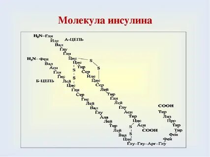 Инсулин химический состав