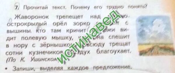 Трепетали жаворонки. Трепетали жаворонки. Трепетали жаворонки. Птицы в поле. Текст по ушинскому жаворонок трепещет над.