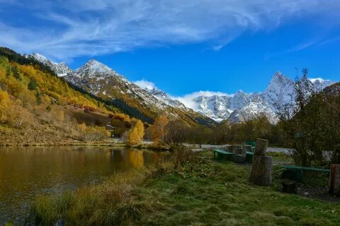 Туманлы кель