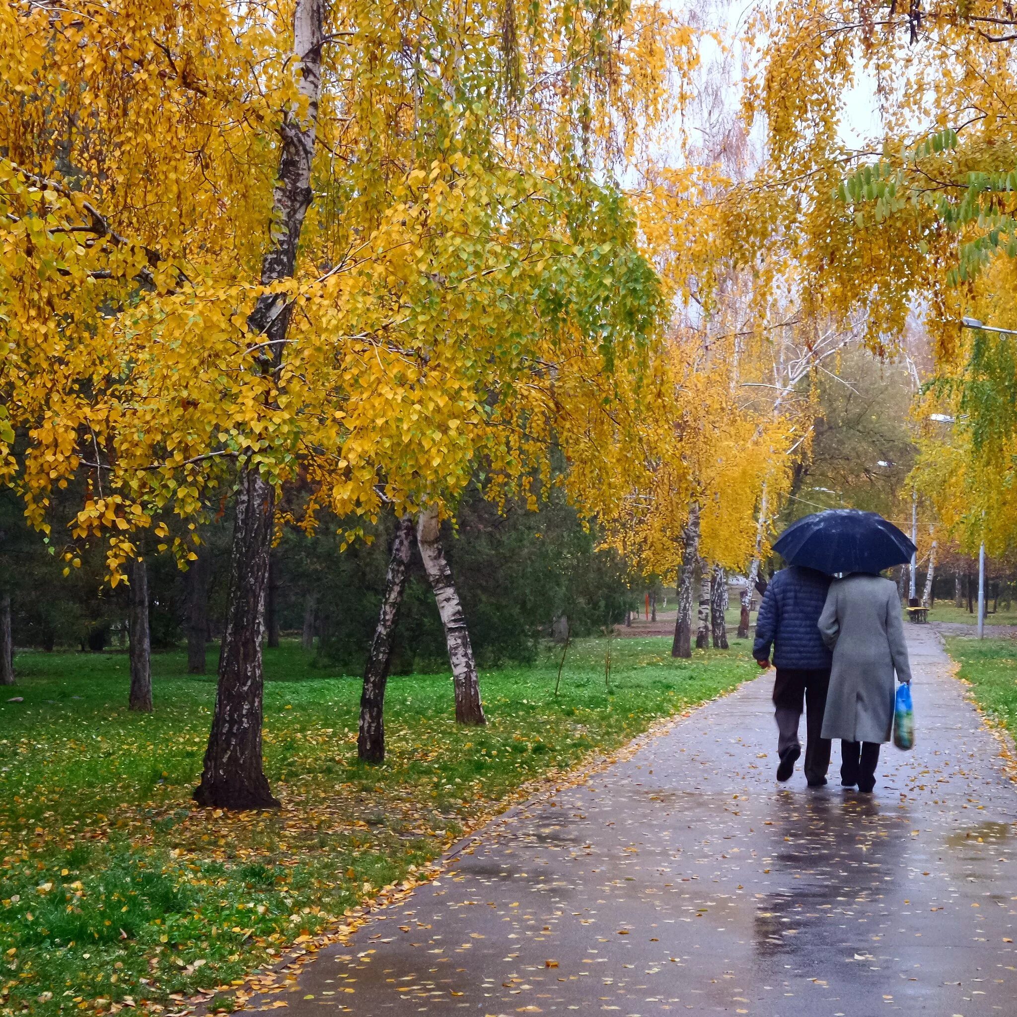 Куз керемети. Куздин сурети. Куз ёмгири. Куз Тарту.