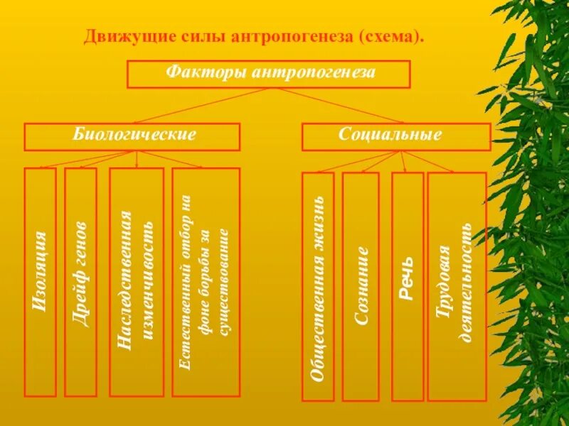 Изоляция антропогенеза. Факторы движущие силы антропогенеза схема. Факторы антропогенеза биологические и социальные схема. Факторы антропогенеза схема. Схема движущие силы антропогенеза биологические и социальные.