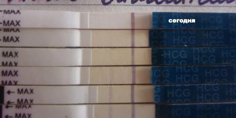 Тянет живот на 18 день цикла. Тянет низ живота после месячных и овуляции. после овуляции тянет низ. после овуляции подташнивает. после овуляции низ живота.