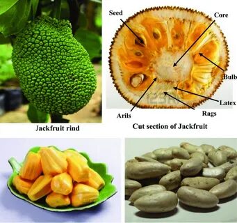 Какая фрукта для поднятия