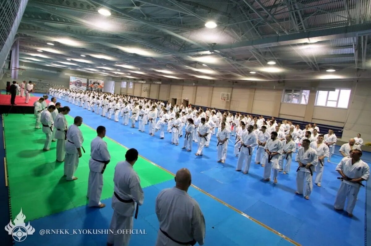 Спортивная база чехов. Спортивная база МГФСО Чехов. Спортбаза Чехов МГФСО. Соб Чехов каратэ. Чехов спортивная база олимпийского резерва.