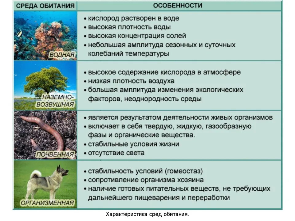 Тест факторы среды 7 класс биология. Среда обитания. Среды обитания организмов. Среда. Средопитания организмов.