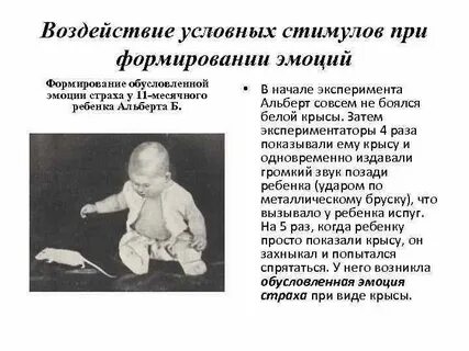 Эксперимент чувств