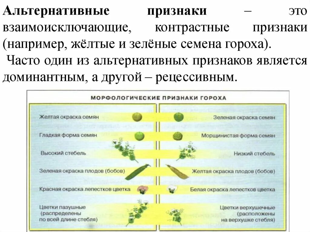 Альтернативные признаки. Альтернативные признаки в генетике это. Гены альтернативных признаков. Альтернативное проявление признака.